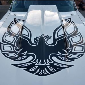 Meet your Posher, Philly